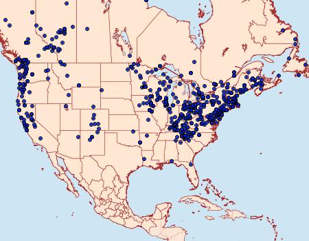 Distribution Data for Campaea perlata