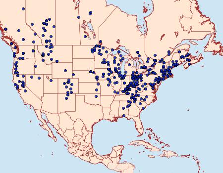 Distribution Data for Ennomos magnaria