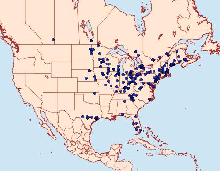 Distribution Data for Ennomos subsignaria