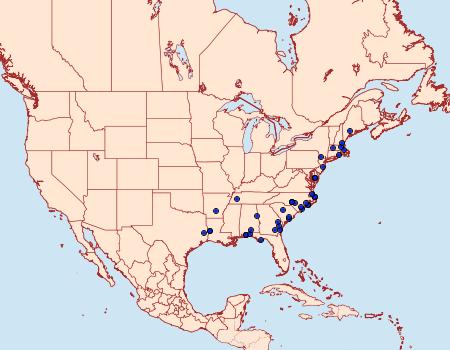 Distribution Data for Petrophora divisata