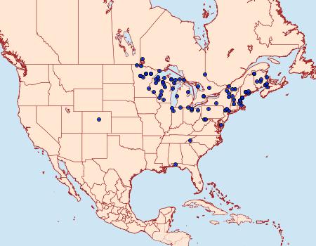 Distribution Data for Petrophora subaequaria