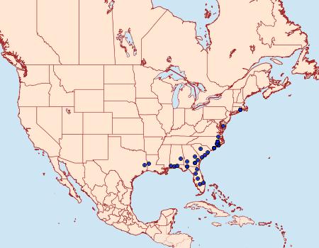 Distribution Data for Tacparia zalissaria