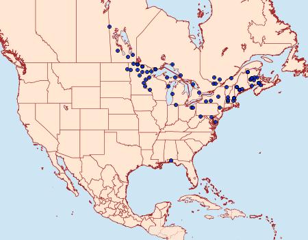 Distribution Data for Tacparia detersata