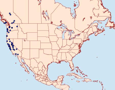 Distribution Data for Thallophaga taylorata