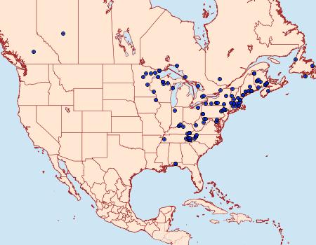 Distribution Data for Homochlodes fritillaria