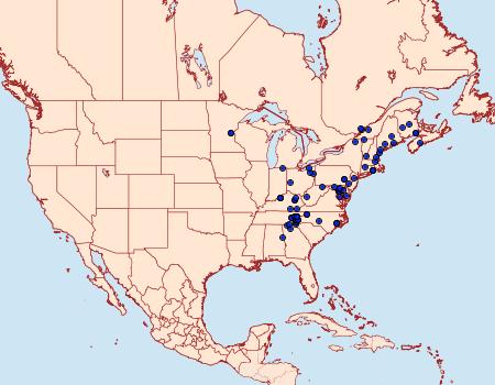 Distribution Data for Gueneria similaria