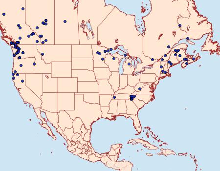 Distribution Data for Selenia alciphearia