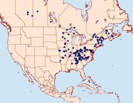 Distribution Data for Selenia kentaria