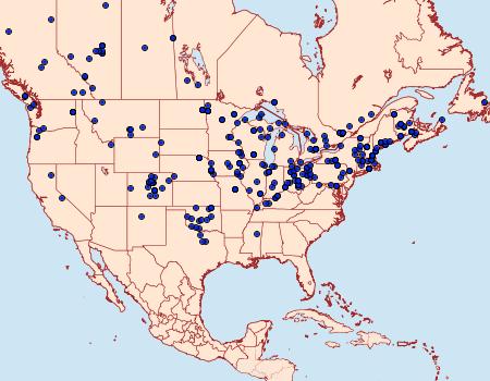 Distribution Data for Metanema inatomaria