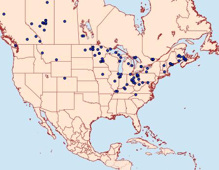 Distribution Data for Metanema determinata