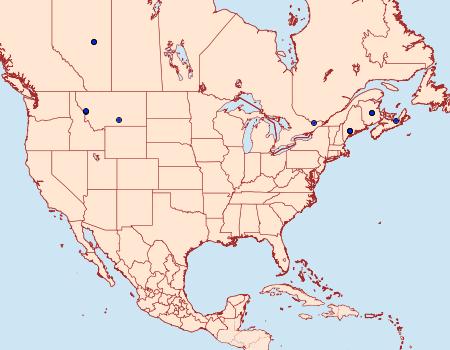 Distribution Data for Metarranthis warneri