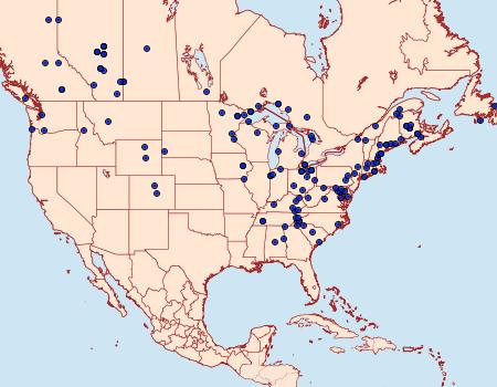 Distribution Data for Metarranthis duaria