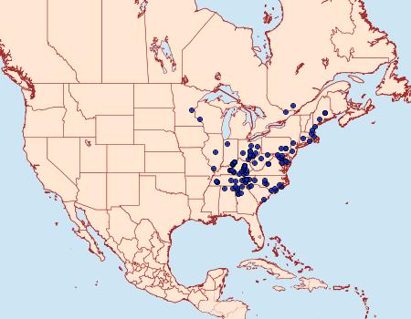 Distribution Data for Metarranthis angularia