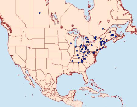 Distribution Data for Metarranthis indeclinata