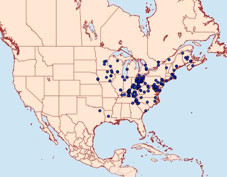 Distribution Data for Metarranthis hypochraria