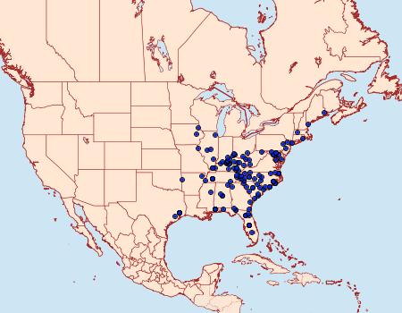 Distribution Data for Metarranthis homuraria