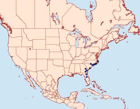 Distribution Data for Metarranthis lateritiaria