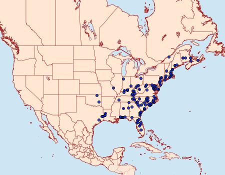 Distribution Data for Metarranthis obfirmaria