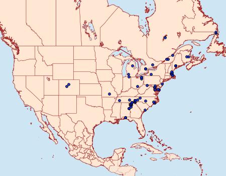 Distribution Data for Cepphis decoloraria