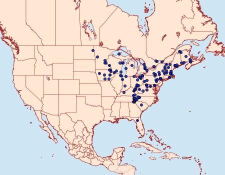 Distribution Data for Cepphis armataria