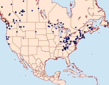 Distribution Data for Plagodis pulveraria