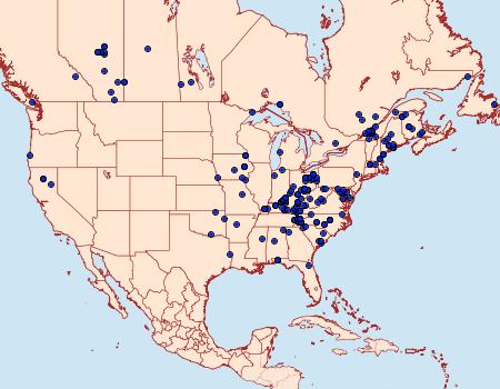 Distribution Data for Probole alienaria