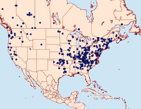 Distribution Data for Probole amicaria