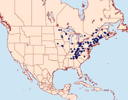 Distribution Data for Plagodis serinaria