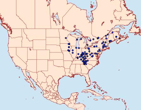 Distribution Data for Plagodis kuetzingi