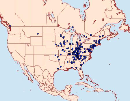 Distribution Data for Plagodis fervidaria