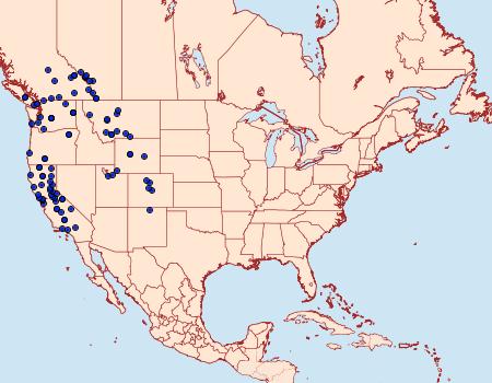 Distribution Data for Neoterpes trianguliferata