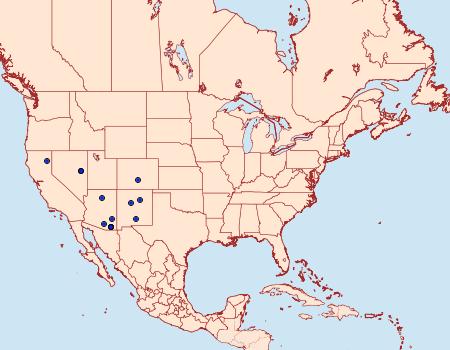 Distribution Data for Caripeta suffusata