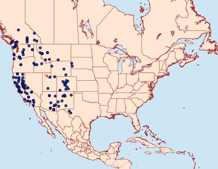 Distribution Data for Caripeta aequaliaria