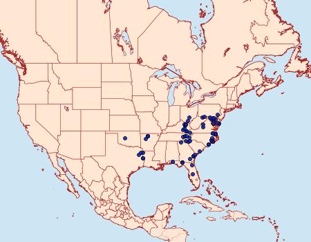 Distribution Data for Caripeta aretaria