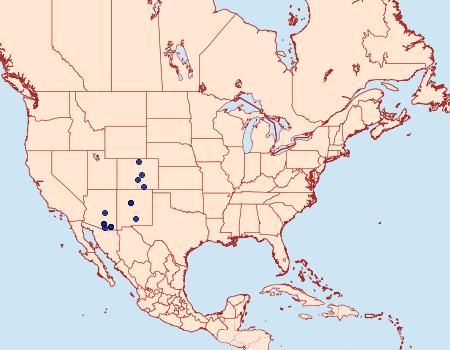 Distribution Data for Neoselenia hilumaria