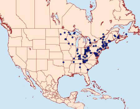 Distribution Data for Besma endropiaria