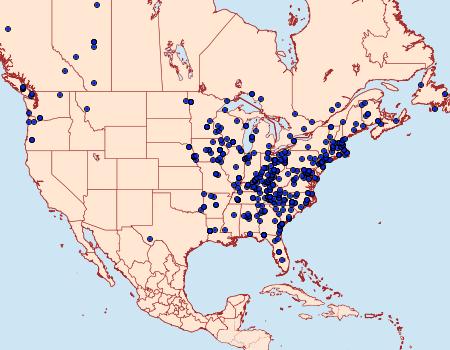 Distribution Data for Besma quercivoraria