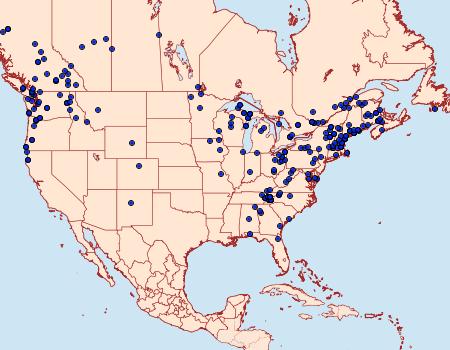 Distribution Data for Lambdina fiscellaria