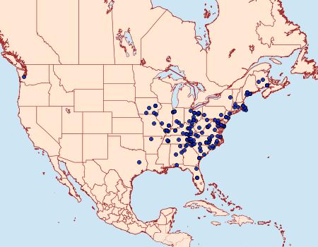 Distribution Data for Lambdina pellucidaria