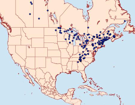 Distribution Data for Nepytia canosaria