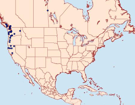 Distribution Data for Nepytia phantasmaria