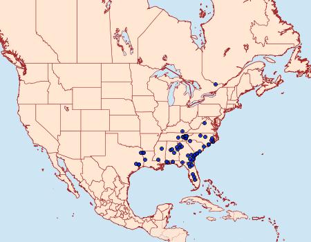 Distribution Data for Nepytia semiclusaria