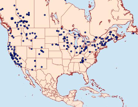 Distribution Data for Sicya macularia