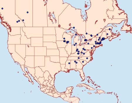 Distribution Data for 