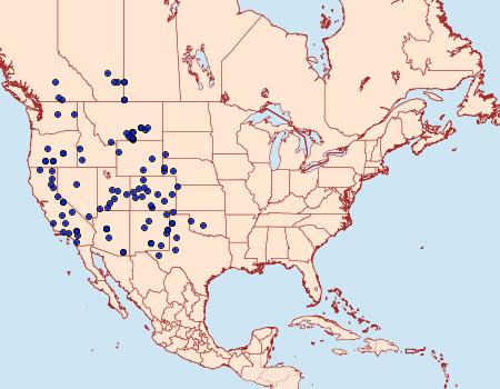 Distribution Data for Plataea trilinearia