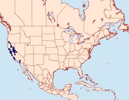 Distribution Data for Pherne placeraria