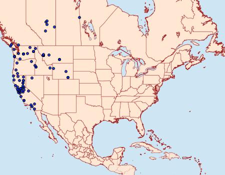 Distribution Data for Tetracis jubararia