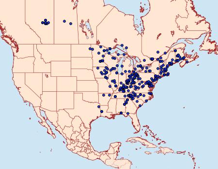 Distribution Data for Tetracis crocallata