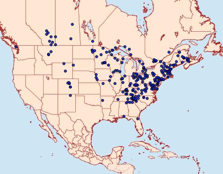 Distribution Data for Tetracis cachexiata