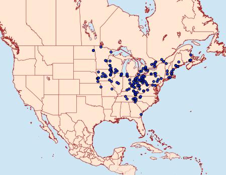 Distribution Data for Eugonobapta nivosaria